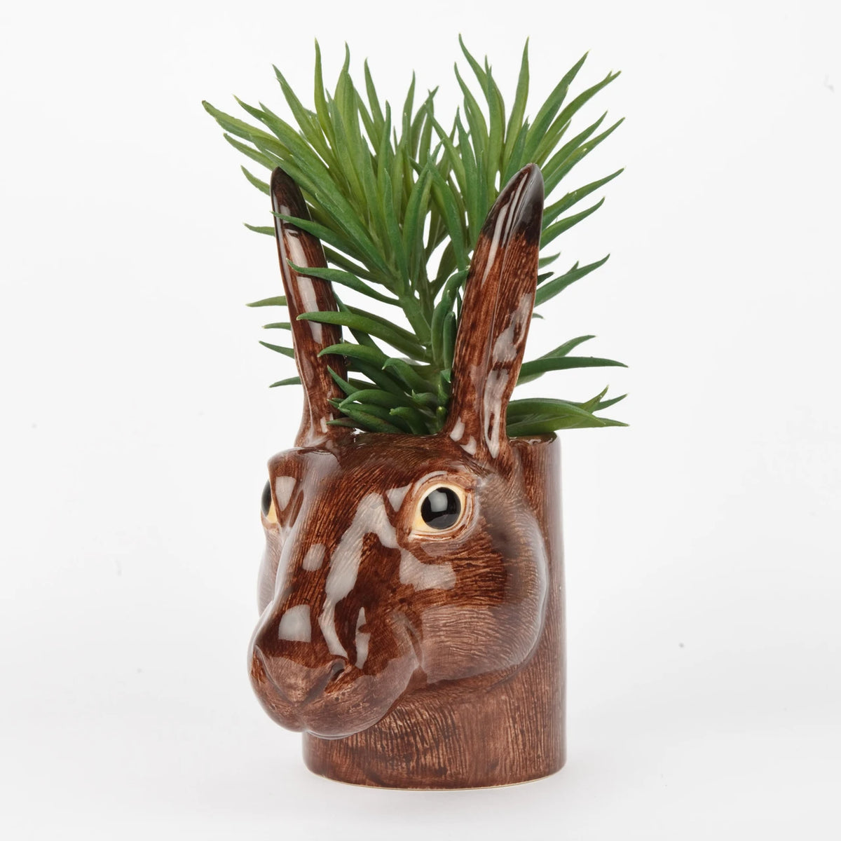 Harepotte