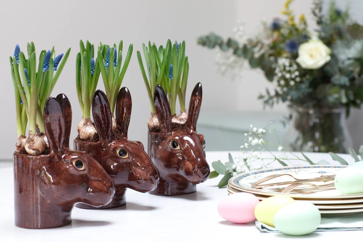 Harepotte