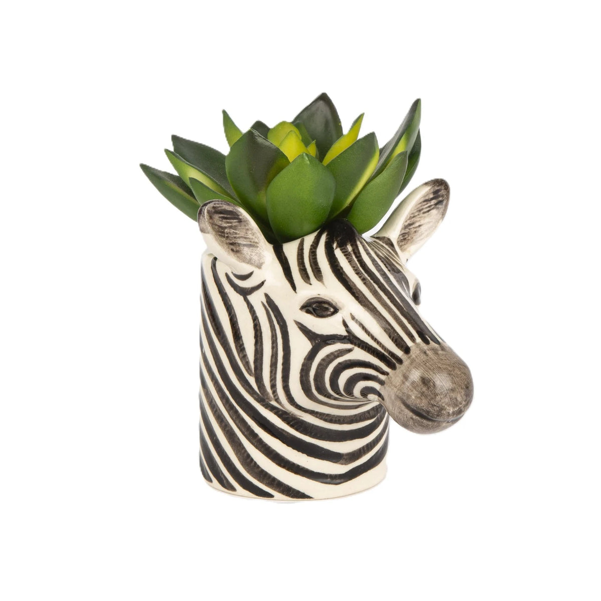 Zebrapotte mini